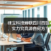 硅宝科技蝉联四川百强,实力究竟源自何方?(图1) 硅宝科技蝉联四川百强,实力究竟源自何方?(图1)