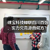硅宝科技蝉联四川百强,实力究竟源自何方?(图3) 硅宝科技蝉联四川百强,实力究竟源自何方?(图3)