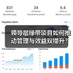 领导层绿带项目如何推动管理与效益双提升?(图3) 领导层绿带项目如何推动管理与效益双提升?(图3)