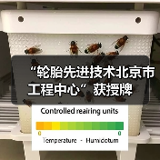 “轮胎先进技术北京市工程中心”获授牌(图2) “轮胎先进技术北京市工程中心”获授牌(图2)