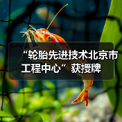 “轮胎先进技术北京市工程中心”获授牌(图4) “轮胎先进技术北京市工程中心”获授牌(图4)