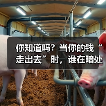 你知道吗?当你的钱“走出去”时,谁在暗处盯着它?(图4) 你知道吗?当你的钱“走出去”时,谁在暗处盯着它?(图4)