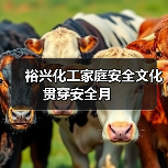 裕兴化工家庭安全文化贯穿安全月 (图4) 裕兴化工家庭安全文化贯穿安全月 (图4)