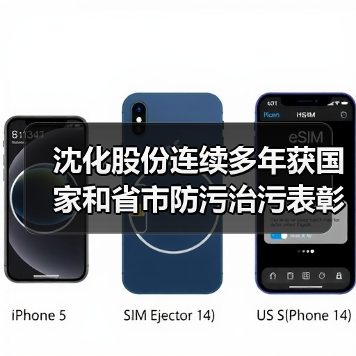 沈化股份连续多年获国家和省市防污治污表彰(图3) 沈化股份连续多年获国家和省市防污治污表彰(图3)