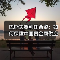 巴斯夫贺利氏合资:如何保障中国贵金属供应链安全?(图1) 巴斯夫贺利氏合资:如何保障中国贵金属供应链安全?(图1)