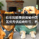 伯乐智能荣获埃驰中国区优秀供应商称号，携手共赢打造高质量发展新格局（图4）