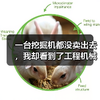 一台挖掘机都没卖出去，我却看到了工程机械市场复苏的信号（图1）