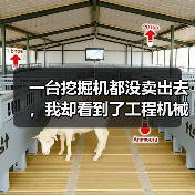 一台挖掘机都没卖出去，我却看到了工程机械市场复苏的信号（图4）