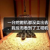 一台挖掘机都没卖出去,我反而看到了工程机械市场复苏的信号(图1) 一台挖掘机都没卖出去,我反而看到了工程机械市场复苏的信号(图1)