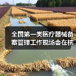 全国第一类医疗器械备案管理工作现场会在杭州召开(图1) 全国第一类医疗器械备案管理工作现场会在杭州召开(图1)