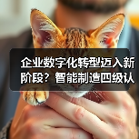 企业数字化转型迈入新阶段?智能制造四级认证如何实现?(图1) 企业数字化转型迈入新阶段?智能制造四级认证如何实现?(图1)