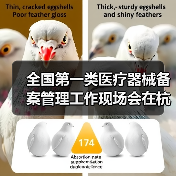 全国第一类医疗器械备案管理工作现场会在杭州召开(图1) 全国第一类医疗器械备案管理工作现场会在杭州召开(图1)