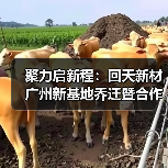 聚力启新程:回天新材广州新基地乔迁暨合作伙伴峰会共谋发展(图2) 聚力启新程:回天新材广州新基地乔迁暨合作伙伴峰会共谋发展(图2)