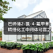 巴师傅2-氯-4-氟甲苯：精细化工中间体可靠之选（图1）
