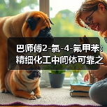 巴师傅2-氯-4-氟甲苯：精细化工中间体可靠之选（图4）