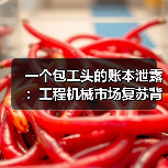 一个包工头的账本泄露：工程机械市场复苏背后的真相（图2）