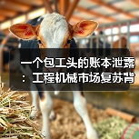 一个包工头的账本泄露：工程机械市场复苏背后的真相（图1）