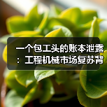 一个包工头的账本泄露：工程机械市场复苏背后的真相（图4）