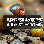 风险投资基金如何改变企业命运？一组数据揭示87.3%的颠覆性创新背后推手（图3）
