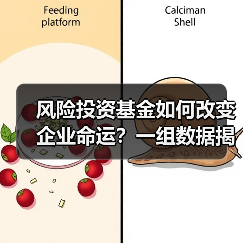 风险投资基金如何改变企业命运？一组数据揭示87.3%的颠覆性创新背后推手（图4）