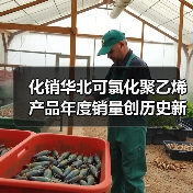 化销华北可氯化聚乙烯产品年度销量创历史新高（图2）