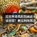 投资市场风险到底该不该调整?看完利弊再决定(图3) 投资市场风险到底该不该调整?看完利弊再决定(图3)