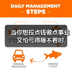 当你想投点钱做点事业,又怕亏得睡不着时,我们该怎么办?(图3) 当你想投点钱做点事业,又怕亏得睡不着时,我们该怎么办?(图3)