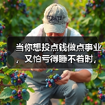 当你想投点钱做点事业,又怕亏得睡不着时,我们该怎么办?(图4) 当你想投点钱做点事业,又怕亏得睡不着时,我们该怎么办?(图4)