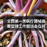全国第一类医疗器械备案管理工作现场会在杭州召开（图2）