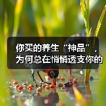 你买的养生“神品”,为何总在悄悄透支你的健康账户?(图2) 你买的养生“神品”,为何总在悄悄透支你的健康账户?(图2)