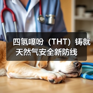四氢噻吩(THT)铸就天然气安全新防线(图2) 四氢噻吩(THT)铸就天然气安全新防线(图2)