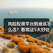 风险投资平台到底该怎么选？看完这5大好处与4个致命风险再决定（图2）
