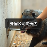 外国公司问责法(图1) 外国公司问责法(图1)