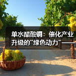 单水醋酸铜:催化产业升级的 单水醋酸铜:催化产业升级的