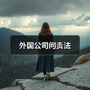 外国公司问责法(图2) 外国公司问责法(图2)