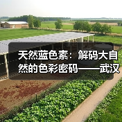 天然蓝色素：解码大自然的色彩密码——武汉吉鑫益邦开启健康着色新纪元（图3）