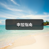 申报指南（图2）