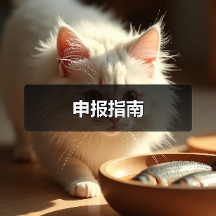 申报指南（图4）
