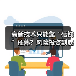 高新技术只能靠“砸钱”催熟?风险投资到底是不是科技创新的万能钥匙?(图2) 高新技术只能靠“砸钱”催熟?风险投资到底是不是科技创新的万能钥匙?(图2)