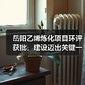 岳阳乙烯炼化项目环评获批，建设迈出关键一步（图1）