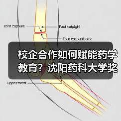 校企合作如何赋能药学教育？沈阳药科大学奖学金颁奖仪式亮点解析（图2）