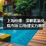 上海盼得:深耕氢氧化铝市场 以稳健实力展现风采(图4) 上海盼得:深耕氢氧化铝市场 以稳健实力展现风采(图4)