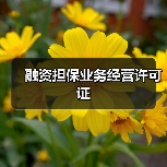 融资担保业务经营许可证(图3) 融资担保业务经营许可证(图3)