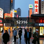 S2316（图1）