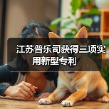 江苏普乐司获得三项实用新型专利(图2) 江苏普乐司获得三项实用新型专利(图2)