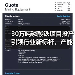 30万吨磷酸铁项目投产引领行业新标杆，产能扩张加速（图4）