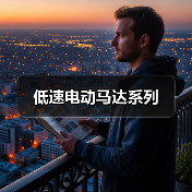 低速电动马达系列（图3）