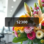 S2300（图1）