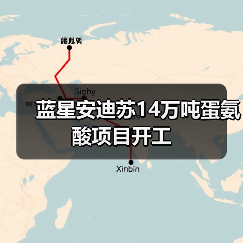 蓝星安迪苏14万吨蛋氨酸项目开工（图2）