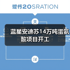 蓝星安迪苏14万吨蛋氨酸项目开工（图4）